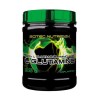 Scitec Nutrition L-Glutamine (300 gr.)