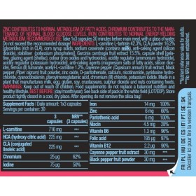 BiotechUSA Mega Burner (90caps)