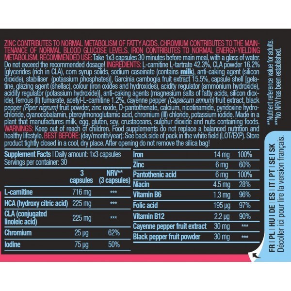 BiotechUSA Mega Burner (90caps)