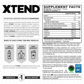 XTEND XTEND® Original BCAA Powder Smash Apple