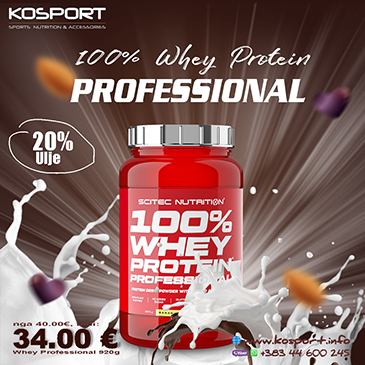 Whey Protein Professional